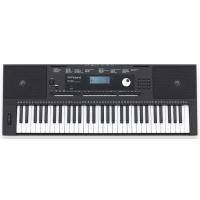 ROLAND E-X20 Tuş Hassasiyetli Ritimli Org Klavye