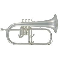 Roy Benson FH-302S Flugelhorn