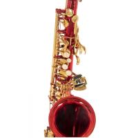 Roy Benson AS-202R Alto Saksafon