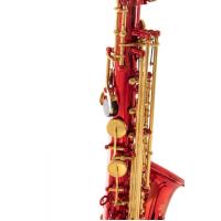 Roy Benson AS-202R Alto Saksafon
