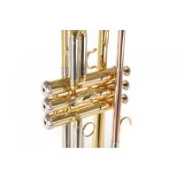 Roy Benson TR-202 Trompet