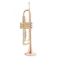 Roy Benson TR-202G  Bb Trompet