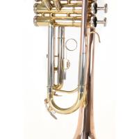 Roy Benson TR-202G  Bb Trompet