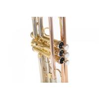 Roy Benson TR-202G  Bb Trompet