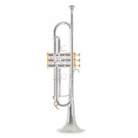 Roy Benson TR-CGS Charlie Green Signature Trompet