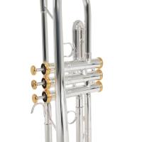 Roy Benson TR-CGS Charlie Green Signature Trompet