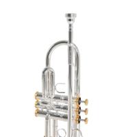 Roy Benson TR-CGS Charlie Green Signature Trompet