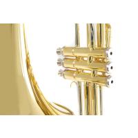 Roy Benson VT-227 Pistonlu Trombon