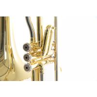 Roy Benson VT-227 Pistonlu Trombon