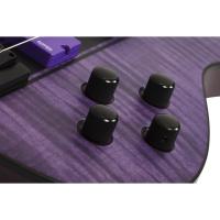 Schecter C-4 GT Bas Gitar (Satin Trans Purple)