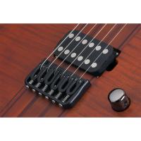 Schecter Banshee Elite-6 Elektro Gitar (Cat's Eye Pearl)