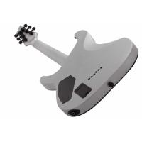 Schecter C 1 Platinum Elektro Gitar (Satin Silver)