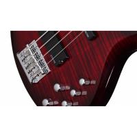 Schecter C-4 Deluxe ( CRB ) Bas Gitar
