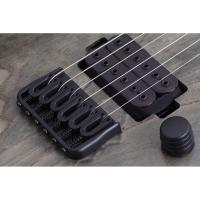 Schecter C-1 EX Elektro Gitar (Apocalypse Rusty Grey)