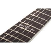Schecter C-1 Platinum Elektro Gitar (Satin Green Burst)