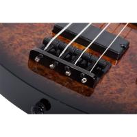 Schecter C-4 Standard Bas Gitar (Tobacco Burl)