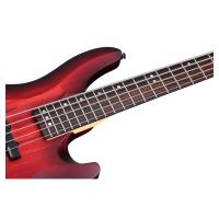 Schecter C-5 Custom 5 Telli Bas Gitar (Trans Crimson Stain)