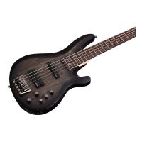 Schecter C-5 Custom 5 Telli Bas Gitar (Trans Black Stain)