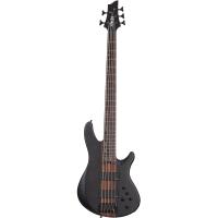 Schecter Charles Berthoud CB Series 5 Telli Bas Gitar (See Thru Black Satin)