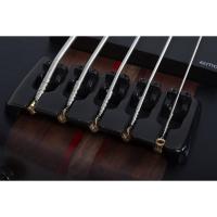 Schecter Charles Berthoud CB Series 5 Telli Bas Gitar (See Thru Black Satin)