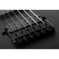 Schecter Damien-6 Solak Elektro Gitar (Satin Black)