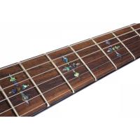 Schecter Hellraiser C-1 BCH Elektro Gitar