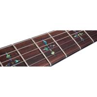 Schecter Hellraiser C-1 BLK Elektro Gitar