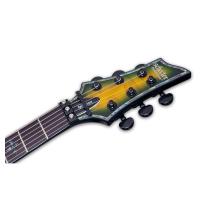 Schecter Hellraiser C-1 FR Passive Elektro Gitar (Dragon Burst)
