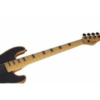 Schecter Model-T Session ANS 5 Telli Bas Gitar