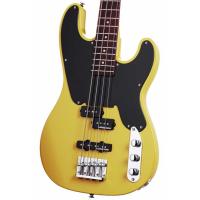 Schecter Model T BTS Bas Gitar