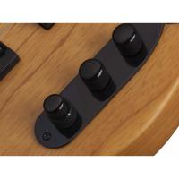 Schecter Model-T Session ANS 4 Telli Bas Gitar