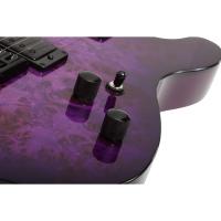 Schecter PT Standard Elektro Gitar (Purple Burst Burl)