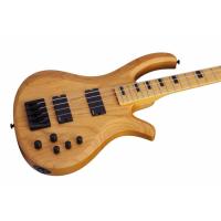 Schecter Riot Session-4 ANS 4 Telli Bas Gitar