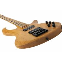 Schecter Riot Session-4 ANS 4 Telli Bas Gitar