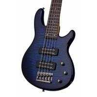 Schecter Raiden Special 5 STBB Bas Gitar