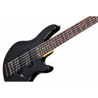 Schecter Raiden Special 5 STBLK Bas Gitar