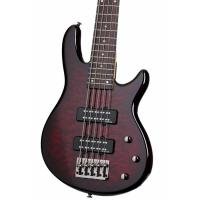 Schecter Raiden Special 5 BCH Bas Gitar