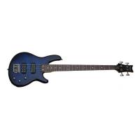 Schecter Raiden Special 4 STBB Bas Gitar