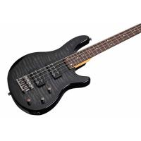 Schecter Raiden Special 4 STBLK Bas Gitar