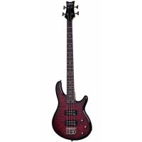Schecter Raiden Special 4 BCH Bas Gitar