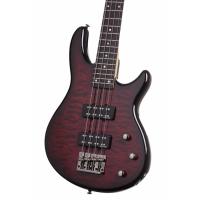 Schecter Raiden Special 4 BCH Bas Gitar