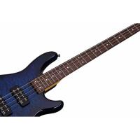 Schecter Raiden Special 4 STBB Bas Gitar