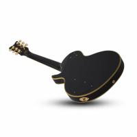 Schecter Solo II Custom Elektro Gitar (Aged Black Satin)