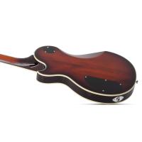 Schecter Solo-II Supreme Elektro Gitar (Cat's Eye Black Burst)