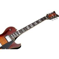 Schecter Solo-6 Custom Elektro Gitar (Faded Vintage Sunburst)