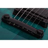Schecter Solo-II Standard Elektro Gitar (Ocean Blue Burst Burl)