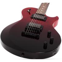 Schecter Solo-II Standard Elektro Gitar (Bloodburstl)