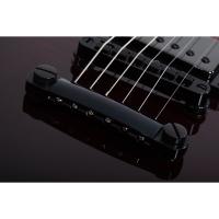 Schecter Solo-II Standard Elektro Gitar (Bloodburstl)