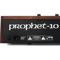 Sequential Prophet-10 61 Tuşlu Analog Synthesizer