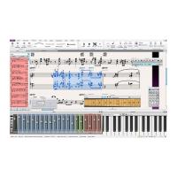 Sibelius - 1 Yıllık (Yenileme)